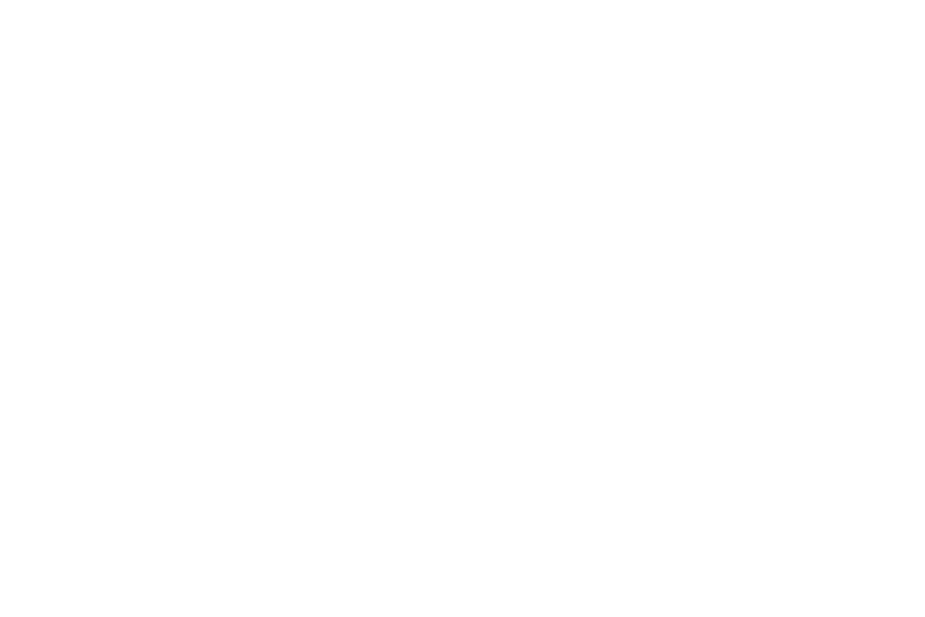 PLUS ICON